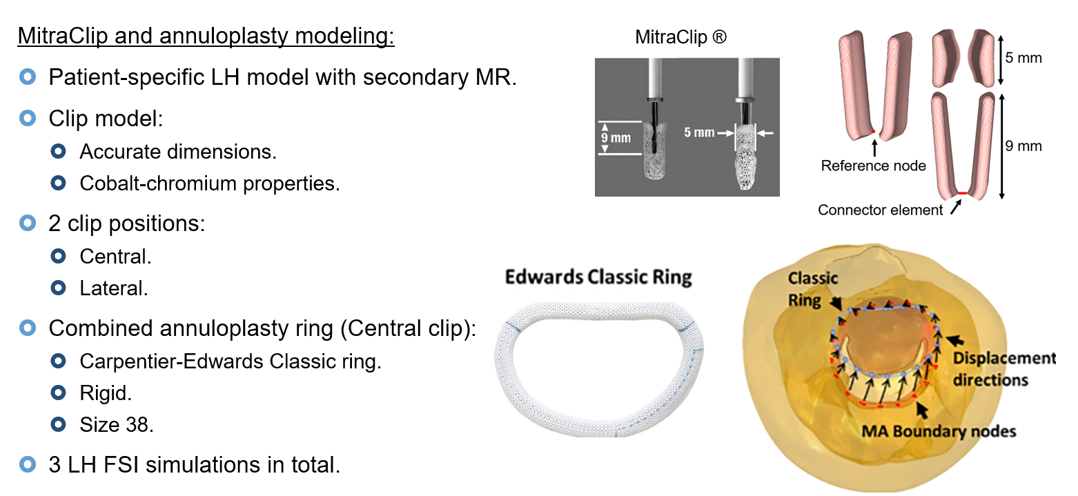 TEER clip ring analysis — overview